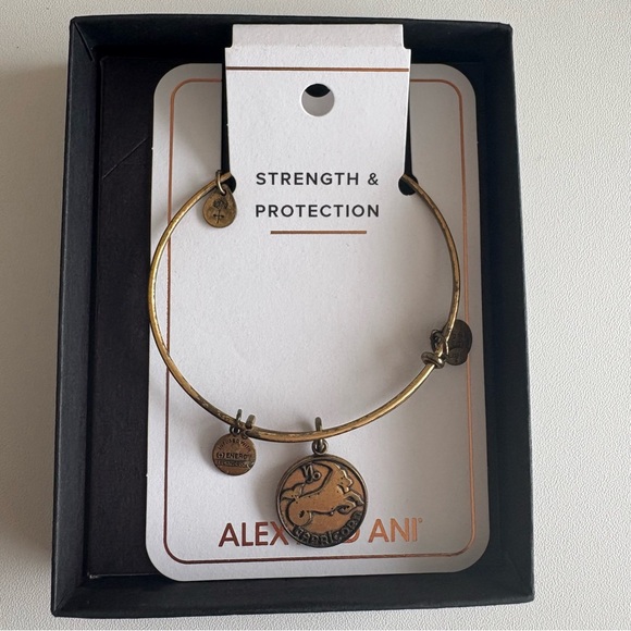 Capricorn Bracelet - Picture 3 of 5